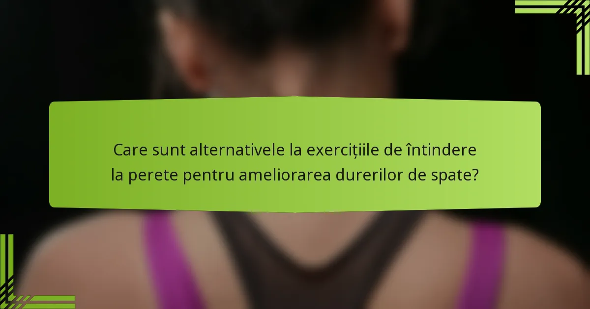 Care sunt alternativele la exercițiile de întindere la perete pentru ameliorarea durerilor de spate?