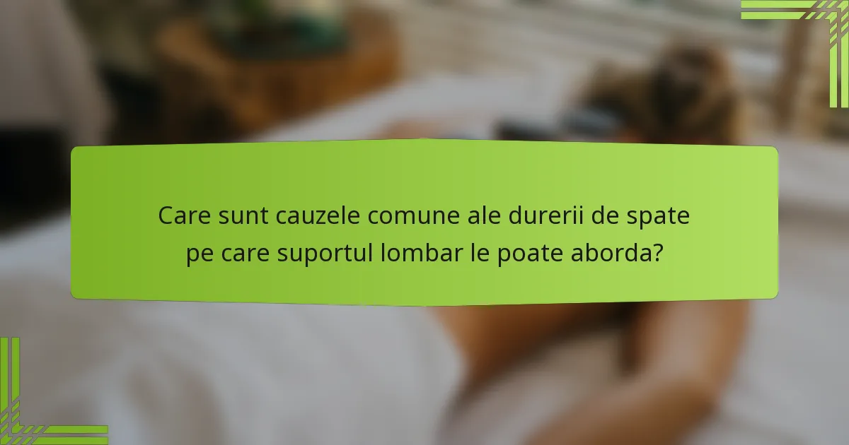 Care sunt cauzele comune ale durerii de spate pe care suportul lombar le poate aborda?