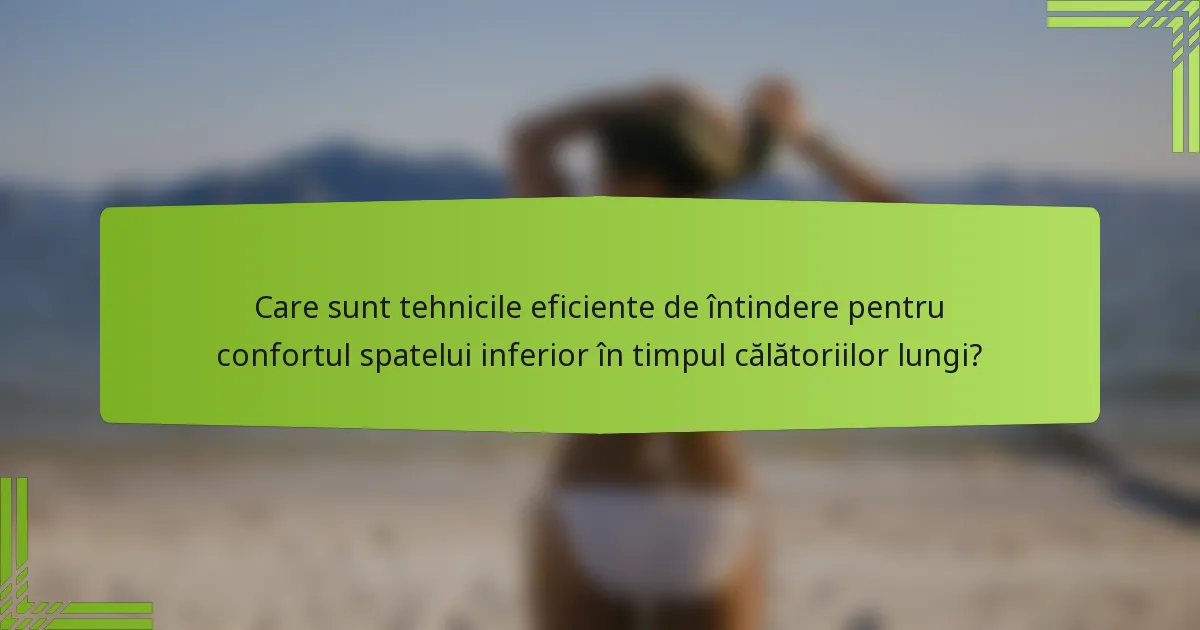 Care sunt tehnicile eficiente de întindere pentru confortul spatelui inferior în timpul călătoriilor lungi?