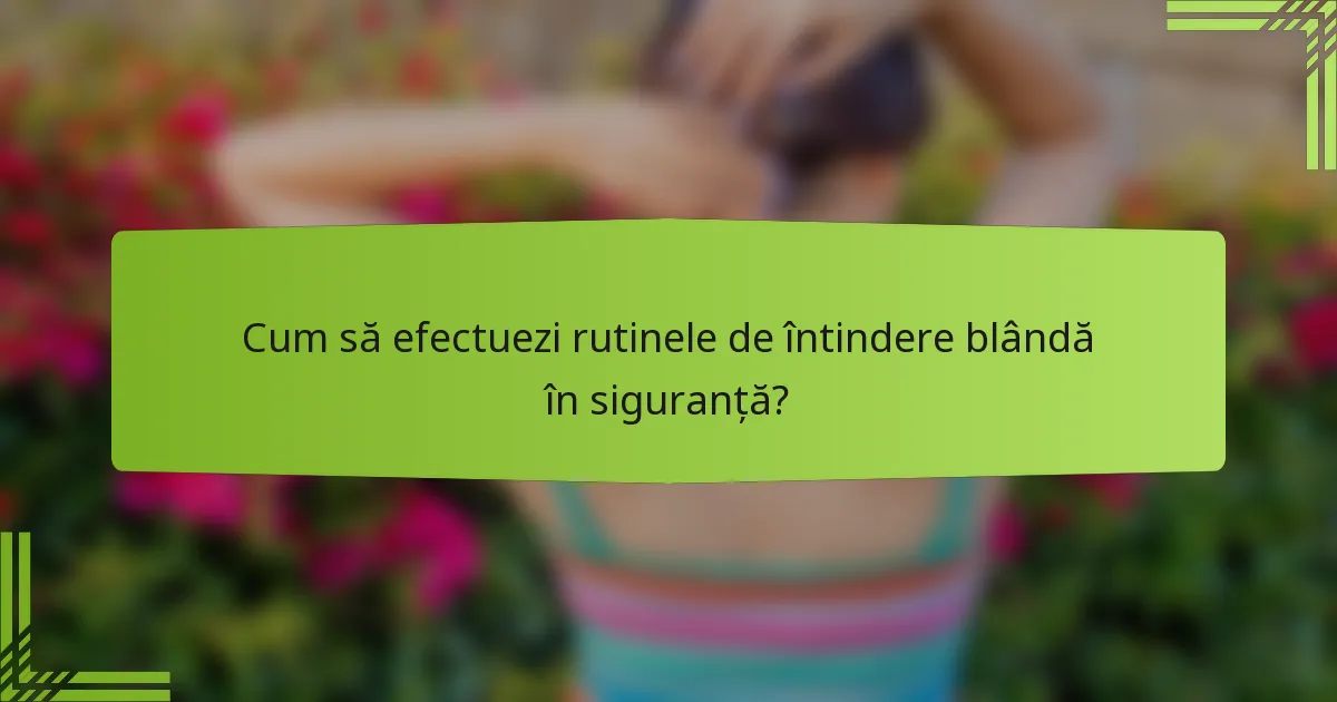 Cum să efectuezi rutinele de întindere blândă în siguranță?
